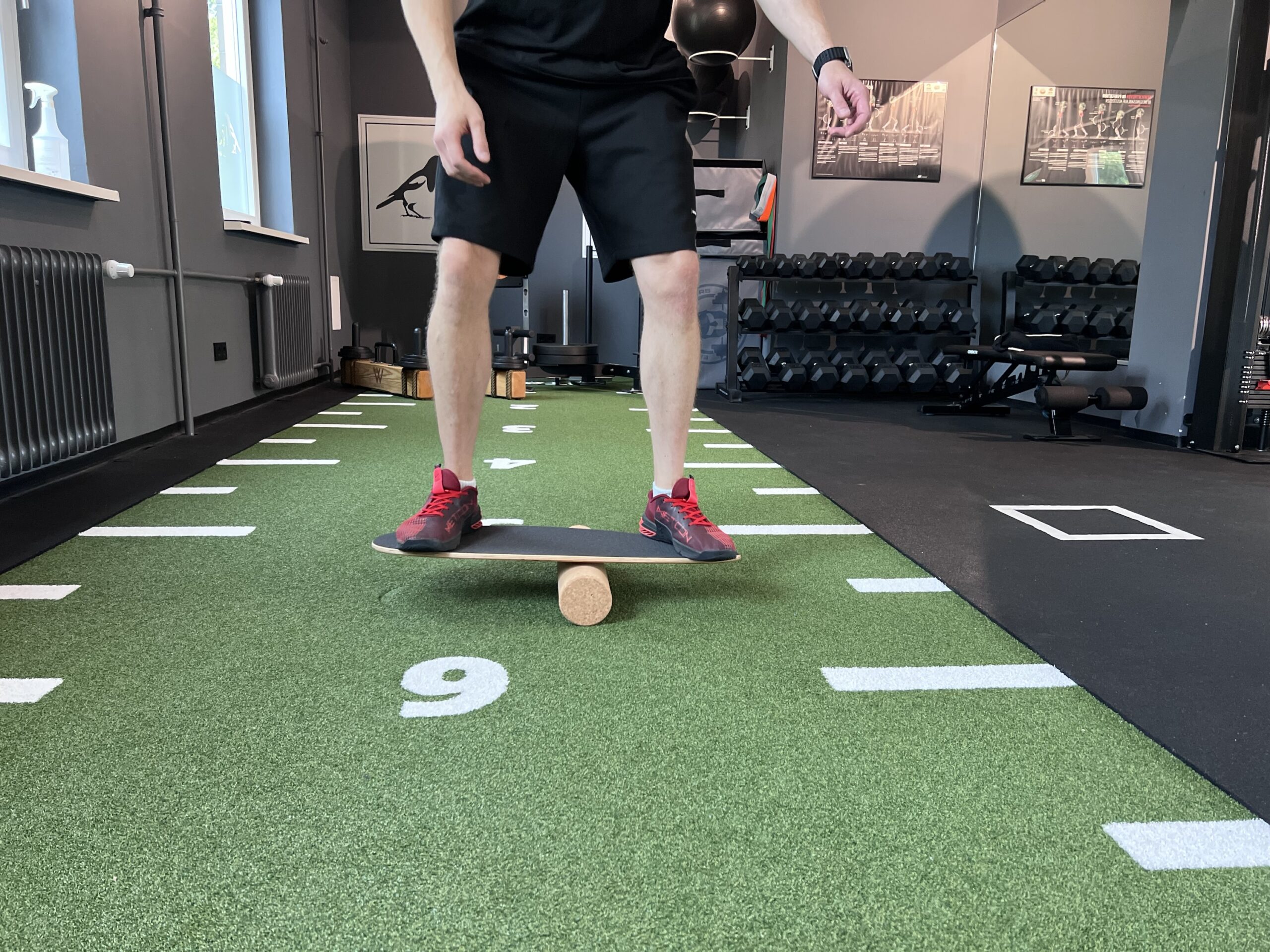 Balance Board – Bild 2